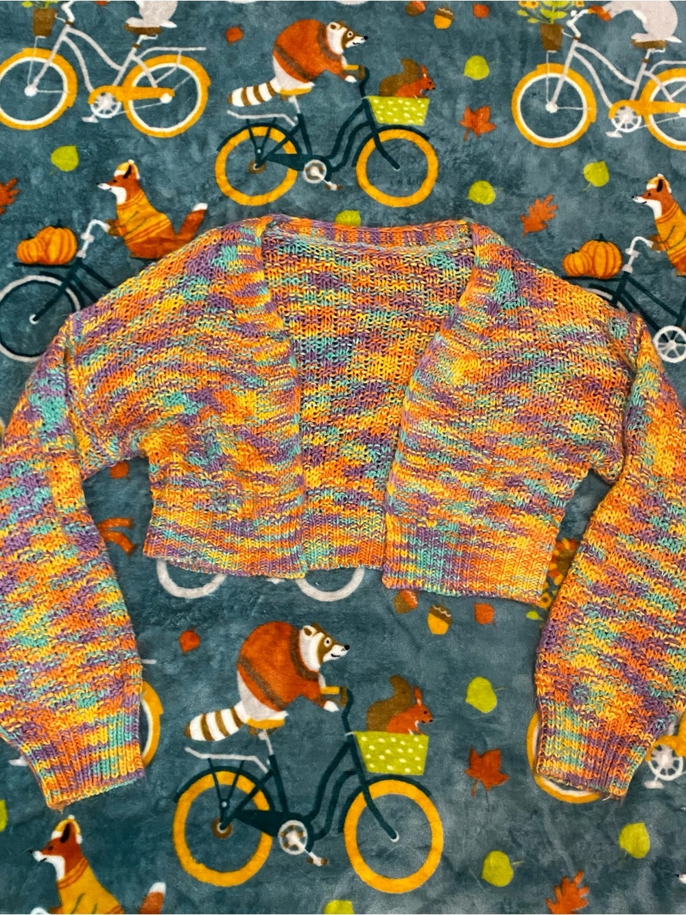 Art Teacher Cropped Cardigan Multicolor Colorful Crochet - Women’s S